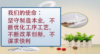 我們的使命：堅(jiān)守制造本業(yè)，不斷優(yōu)化工序工藝，不斷改革創(chuàng)新，不謀求快利